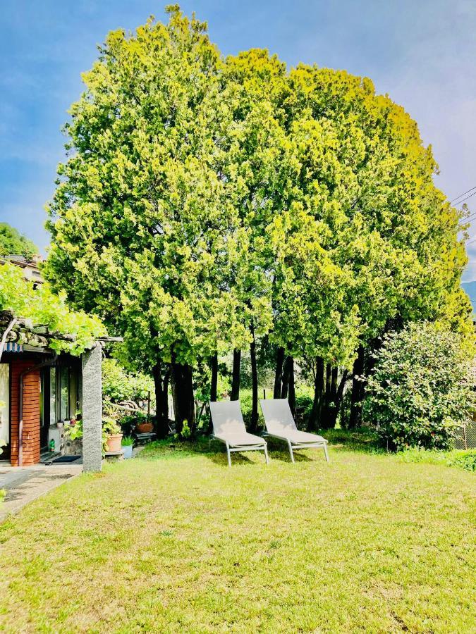 Casa Angiolina - Holidays *