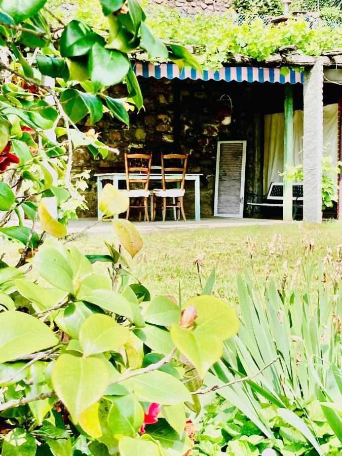 Bed & Breakfast Casa Angiolina - Holidays *